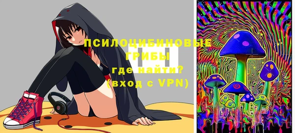 метадон Ладушкин